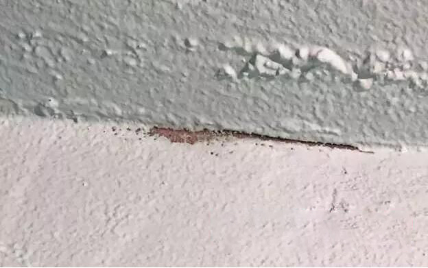 防水层为什么会发白起粉?