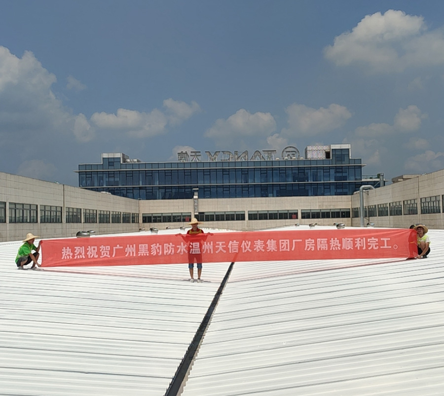 【工程案例】温州天信仪表集团反射隔热施工